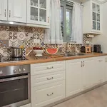 Vilă Alexandros Stone House Nydri (Lefkada)