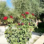 Alexandros Stone House Vilă Nydri (Lefkada)