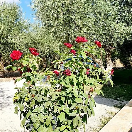 Alexandros Stone House Villa Nidhrion