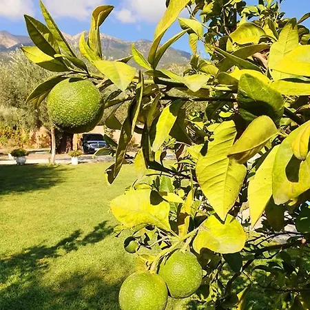 Vilă Alexandros Stone House Nydri (Lefkada)