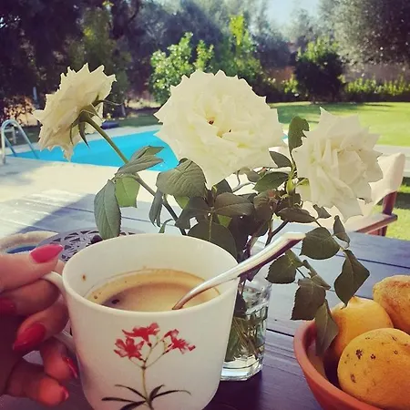 Vilă Alexandros Stone House Nydri (Lefkada)