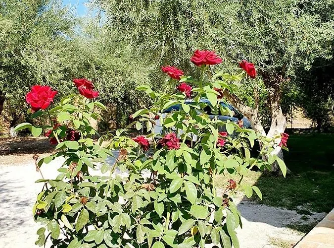 Alexandros Stone House 别墅 奈德里